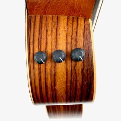Taylor GS Mini-e Rosewood 50th Anniversary 2024 Vintage Sunburst image 21