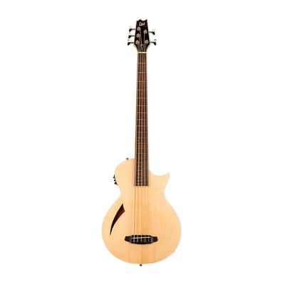 ESP LTD TL-5 Acoustic-Electric 5-String Bass Guitar- Natural - B-Stock image 2