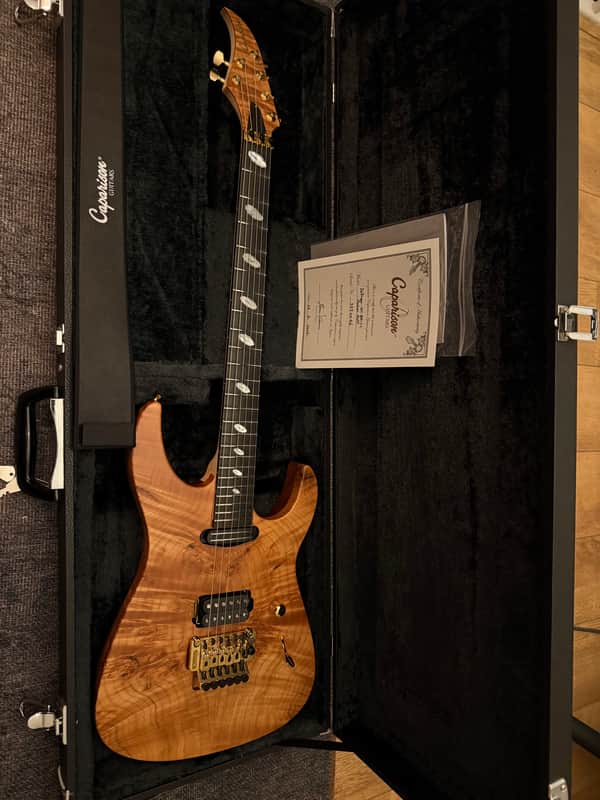 Caparison Dellinger-SH-BM Custom Line 2025 - Very cool image 1