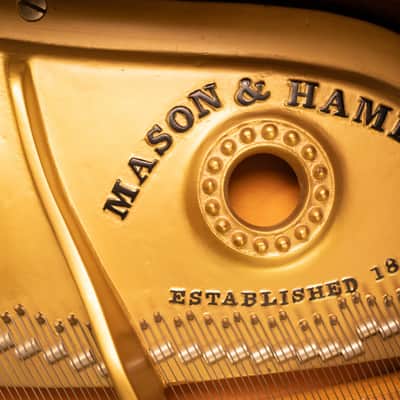 Mason & Hamlin 5'3" Baby Grand 1962 - Walnut image 3
