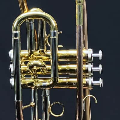 SCHILLER Shepards Crook Pro Elite Cornet in Brushed Rose 2019 image 17
