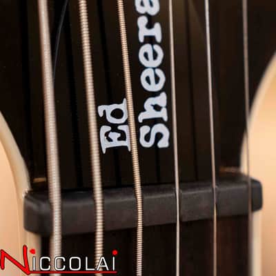 PRS SE Ed Sheeran (Hollowbody I Piezo - Baritone) Kaleidoscope image 13