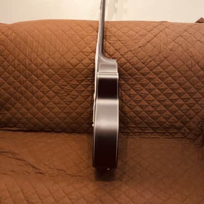 Washburn DFEACE Deep Forest Grand Auditorium Shape Mahogany Neck 6-String Acoustic-Electric Guitar image 10