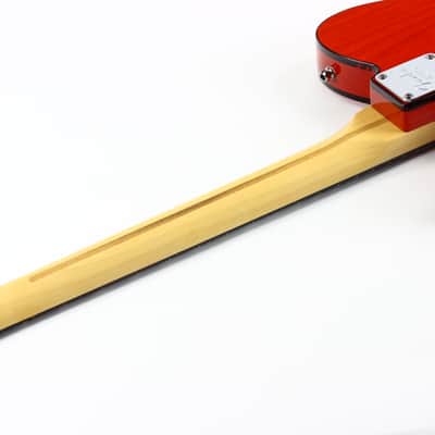 2001 Fender American 90's Telecaster Thinline DOUBLE BOUND TORTOISE Made in USA, ONE-OFF! Matching Headstock! image 13