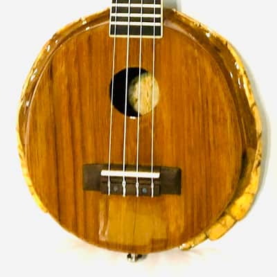 Turtle Shell Concert Ukulele image 11