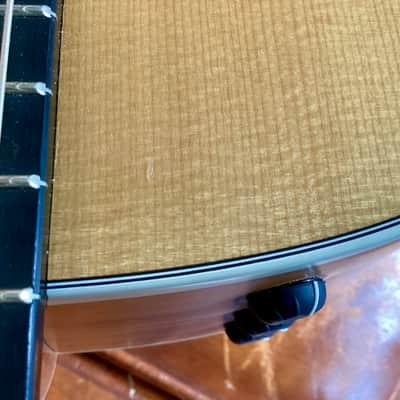 Taylor 214 CE-N with gig bag image 14