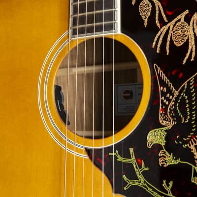 Epiphone Masterbilt Excellente - Acoustic Guitar image 6