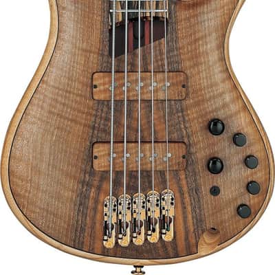 Ibanez IV1SR Visions SR Electric Bass 5-String + Case image 1