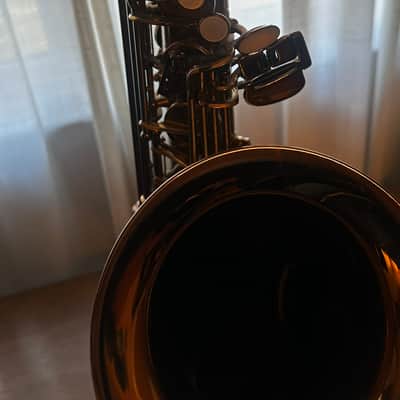 RW Pro Series Tenor Saxophone in Cognac Gold Lacquer with high F# key image 12
