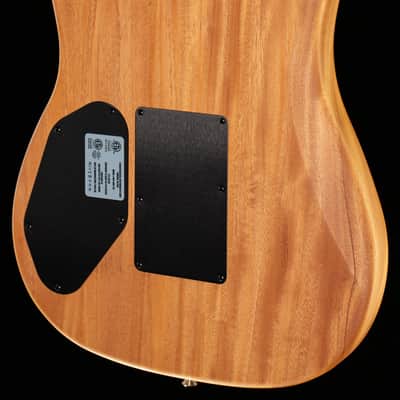 Fender American Acoustasonic Stratocaster Black (244) image 2