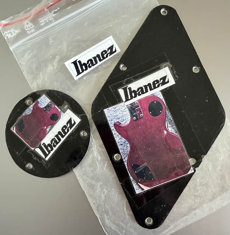Ibanez LP backplate and switch cover set 1970s - Black image 1