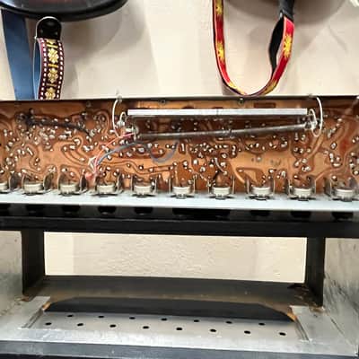 Danelectro Coral Californian Head Cabinet and Preamp Chassis 1960s image 13