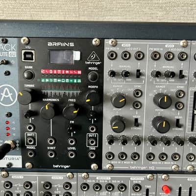 Behringer System 100 and Brains in Rackbrute Case image 10