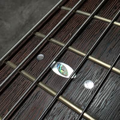 Ibanez SR5006E OL TEAM J. CRAFT Prestige Case Queen 2009-2010 Custom USA Bartolini SR5006 SR 5006 6 Six String Bass Guitar image 7
