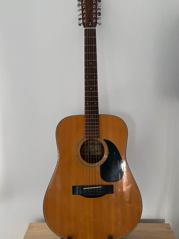 Fender F-55-12