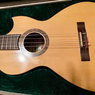 Southcoast RARE — Tenor Guitar/Baritone Ukulele 2017 image 5