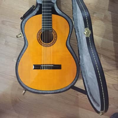 BC Rich BC-10 Classical Guitar image 1