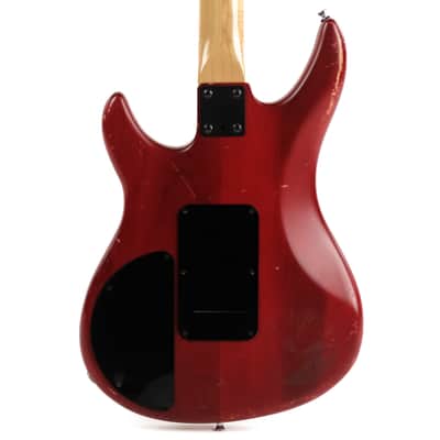Peavey Patriot Owned by Mark Lettieri image 6
