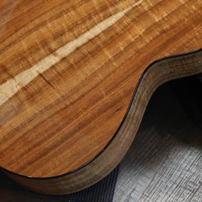 Unplayed! 2018 Taylor 712ce 12 Fret Limited Edition Torrified Spruce Blackwood Acoustic Guitar Natural + OHSC image 16