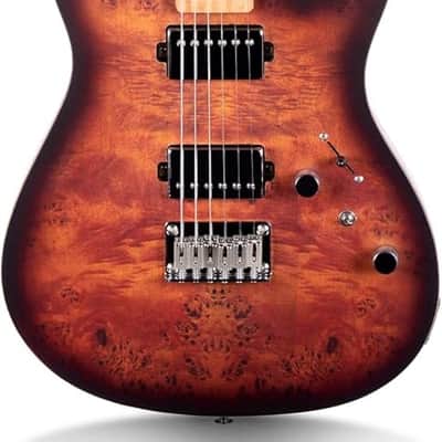 Electric Guitar Burl Wood Look Printed Top Modern Double Cut 6 String HH Pickups Tremolo Maple Neck Gloss Finish image 1