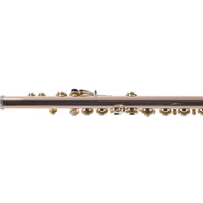 William S. Haynes Custom 14K Gold Flute with Gold Toneholes, Offset G, C# Trill image 8
