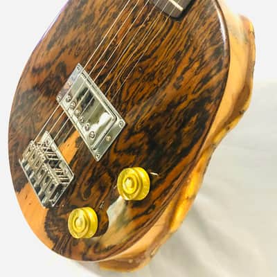 Turtle Shell Electric Guitar image 4