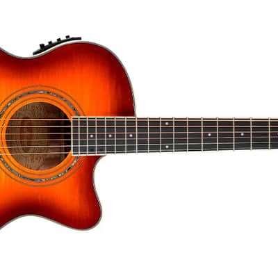Washburn EA15 Festival Series Mini Jumbo Cutaway Acoustic Electric Guitar. Ice Tea Burst image 1