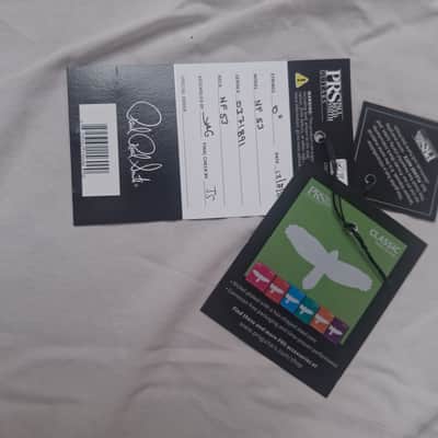 PRS NF 53 2023 - Present - Blue Matteo image 18