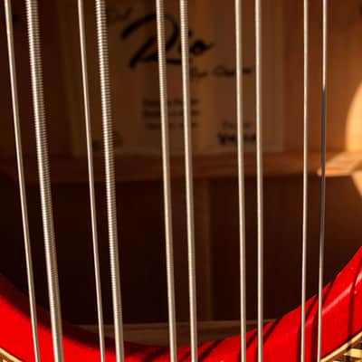Del Rio Bajo Quinto Double Cutaway 2019 Red Sunburst Bild 3