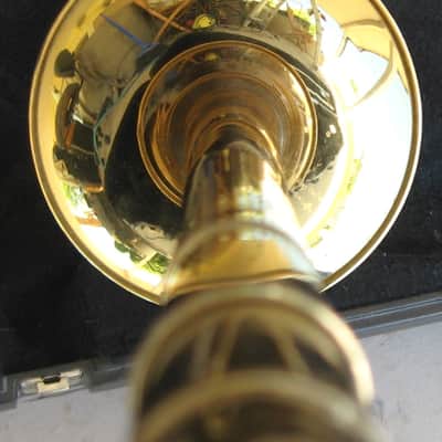 King Trombone 2010s? - Brass image 6