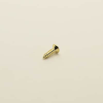 Gold Steel Pickguard and Control Plate Screws 3mm x 12mm - 50 image 2