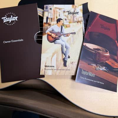 Taylor 114E 2007 - Present - Natural w/Case image 21