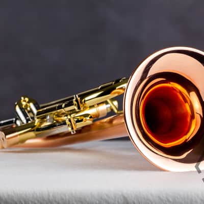 Taylor 46 Balladeer Bb trumpet / flugelhorn hybrid 2020, matte lacquer image 11