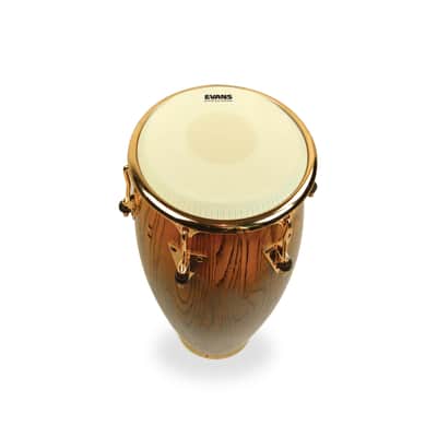 Evans Tri-Center Extended Collar Conga Drum Head, 11.75 Inch image 2