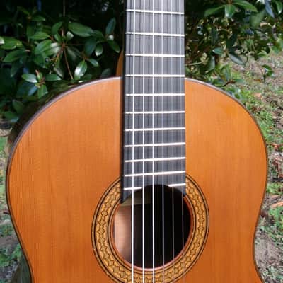 1975 Manuel G. Contreras (1st generation) Classical Guitar Calle Mayor 80, Madrid Cedar Top / Rosewood Body Original Hard Case image 5