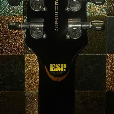 LTD EC-256 Distressed w/Ernie Ball Custom Gauge Strings and Strap image 6