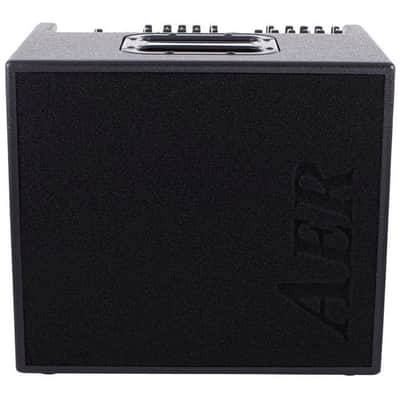 AER Domino 2A | 100W 2x8" +Tweeter Acoustic Combo. New with Full Warranty! image 6