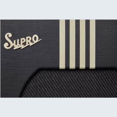 Supro Delta King 10 | 5 Watt 1x10 w/ Reverb image 8