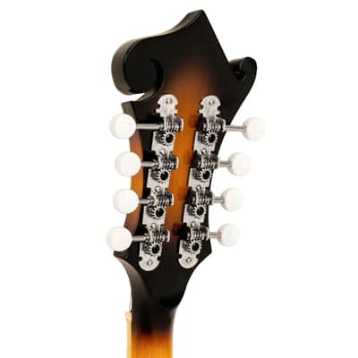 Gold Tone GM-35 F-Style Spruce Top Maple Neck 8-String Mandolin w/Foam Case image 5