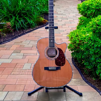 Zager ZAD-80 CD OM Guitar Bundle image 1