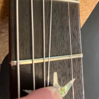 PRS 509 image 16