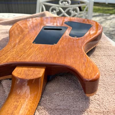 PRS Custom 24 Artist Package image 15