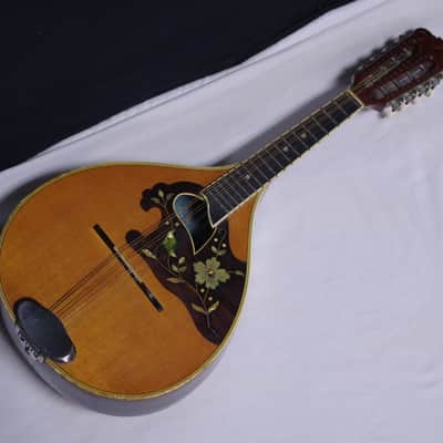 Vintage Dofra ? Western Germany bowl back Mandolin with Hard Case image 2