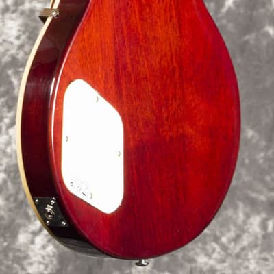 Tanglewood TSB-58 Signature Electric Series Guitar- Goldtop image 5