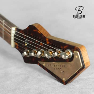 BELVEDERE - Viper (2024) - Dark Paprika image 5