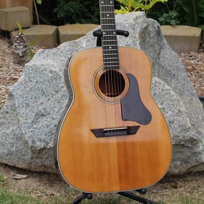 RARE Vintage 1964 Regal Model 235 Harmony Sovereign H-1260 Jumbo Acoustic Guitar W/ Case Restored! image 6
