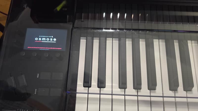 Expressive E Osmose 49-Key 24-Voice Polyphonic Synthesizer 2022 - Present - Black image 1