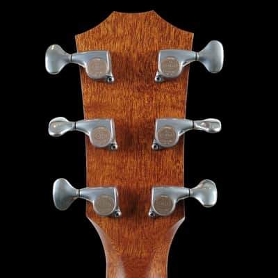 Taylor Custom GS Honduran Rosewood & Bearclaw Spruce GS BTO image 6