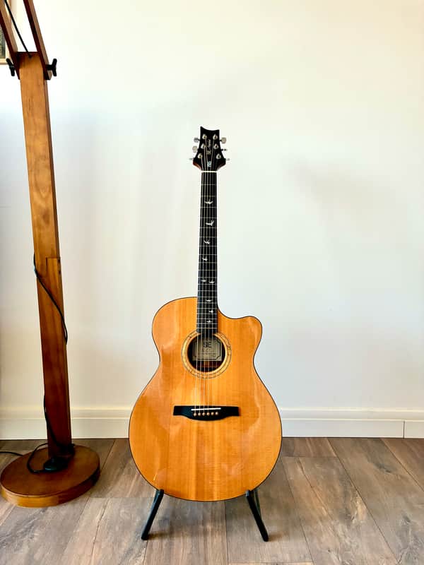 PRS SE Alex Lifeson Signature Thinline | Reverb