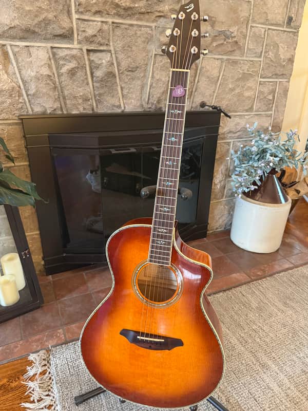Breedlove C250/EFe Sunburst 2012 - Sunburst image 1